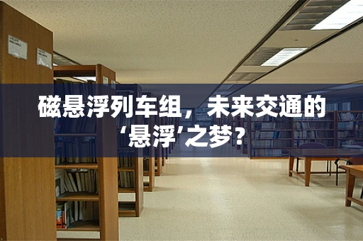 磁悬浮列车组，未来交通的‘悬浮’之梦？