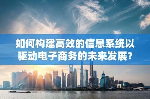 如何构建高效的信息系统以驱动电子商务的未来发展？