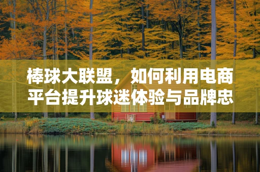 棒球大联盟，如何利用电商平台提升球迷体验与品牌忠诚度？