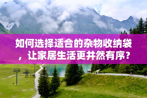 如何选择适合的杂物收纳袋，让家居生活更井然有序？