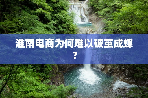 淮南电商为何难以破茧成蝶？