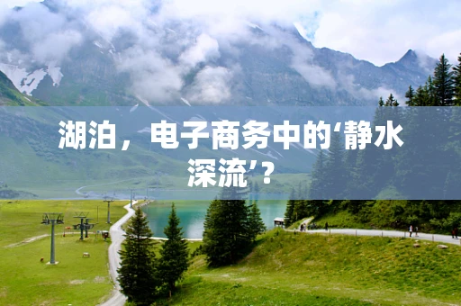 湖泊，电子商务中的‘静水深流’？