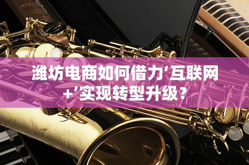 潍坊电商如何借力‘互联网+’实现转型升级？