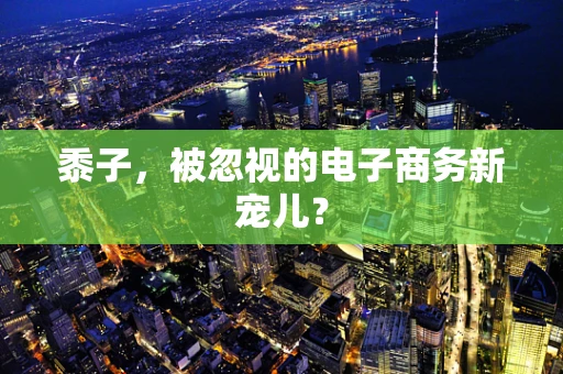 黍子，被忽视的电子商务新宠儿？