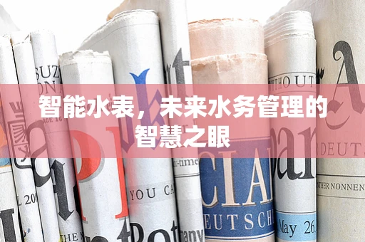 智能水表，未来水务管理的智慧之眼