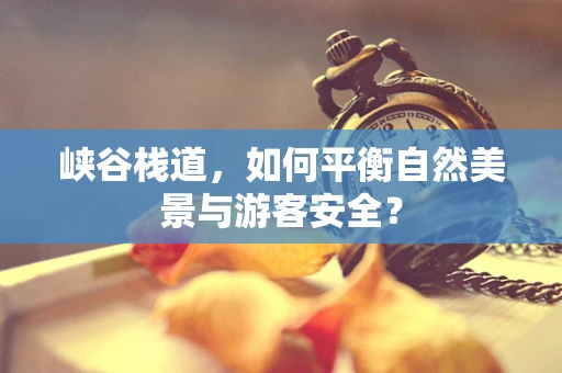峡谷栈道，如何平衡自然美景与游客安全？