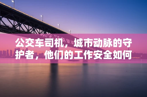 公交车司机，城市动脉的守护者，他们的工作安全如何保障？