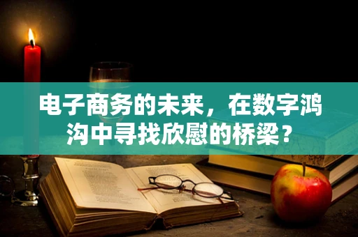 电子商务的未来，在数字鸿沟中寻找欣慰的桥梁？