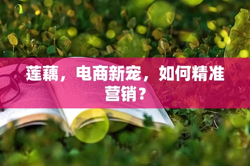 莲藕，电商新宠，如何精准营销？