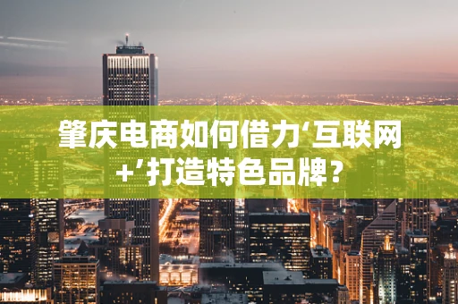 肇庆电商如何借力‘互联网+’打造特色品牌？