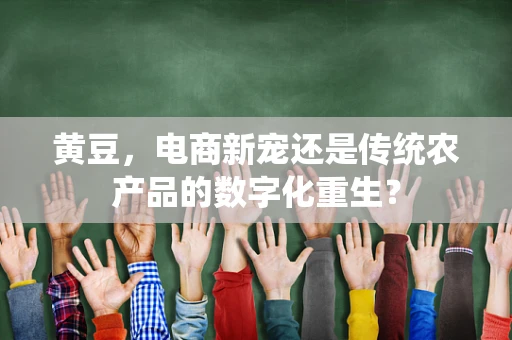 黄豆，电商新宠还是传统农产品的数字化重生？