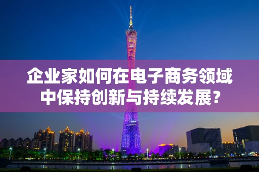 企业家如何在电子商务领域中保持创新与持续发展？