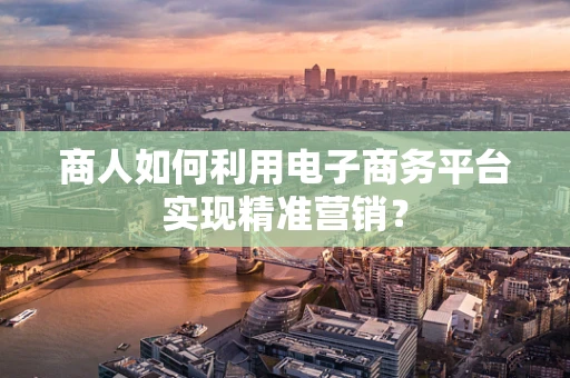 商人如何利用电子商务平台实现精准营销？