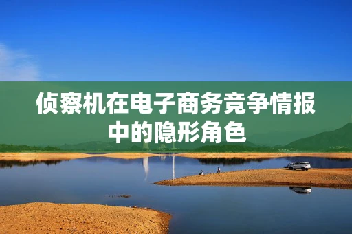 侦察机在电子商务竞争情报中的隐形角色