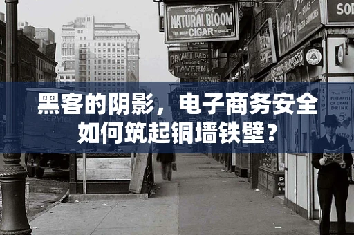 黑客的阴影，电子商务安全如何筑起铜墙铁壁？