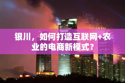 银川，如何打造互联网+农业的电商新模式？