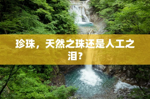珍珠，天然之珠还是人工之泪？
