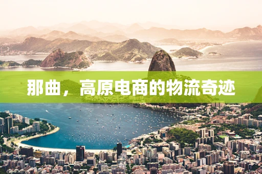 那曲，高原电商的物流奇迹