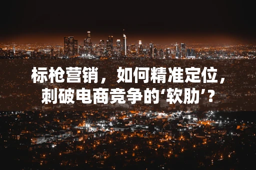 标枪营销，如何精准定位，刺破电商竞争的‘软肋’？