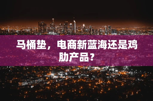 马桶垫，电商新蓝海还是鸡肋产品？