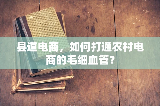 县道电商，如何打通农村电商的毛细血管？