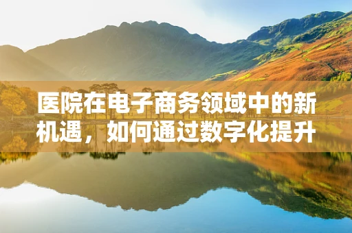 医院在电子商务领域中的新机遇，如何通过数字化提升患者体验？
