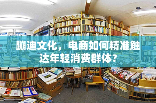 蹦迪文化，电商如何精准触达年轻消费群体？