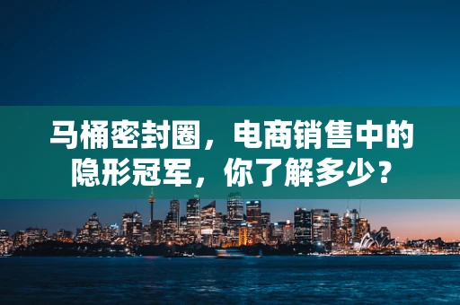 马桶密封圈，电商销售中的隐形冠军，你了解多少？
