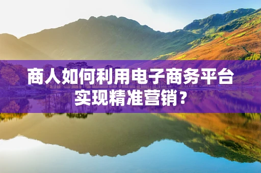 商人如何利用电子商务平台实现精准营销？