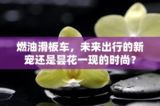 燃油滑板车，未来出行的新宠还是昙花一现的时尚？