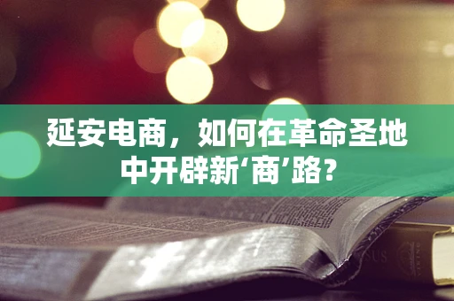 延安电商，如何在革命圣地中开辟新‘商’路？