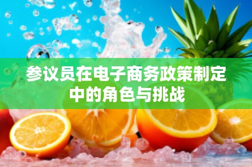 参议员在电子商务政策制定中的角色与挑战