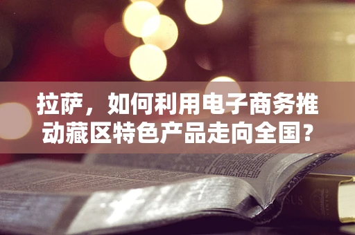 拉萨，如何利用电子商务推动藏区特色产品走向全国？