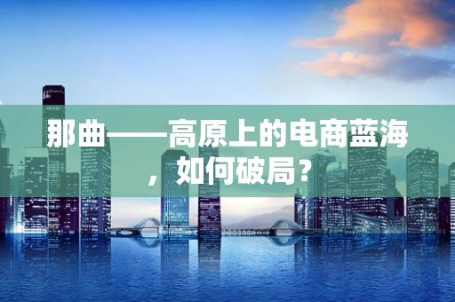 那曲——高原上的电商蓝海，如何破局？