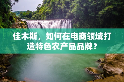 佳木斯，如何在电商领域打造特色农产品品牌？