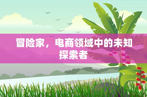 冒险家，电商领域中的未知探索者