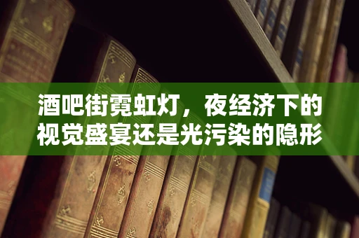 酒吧街霓虹灯，夜经济下的视觉盛宴还是光污染的隐形推手？