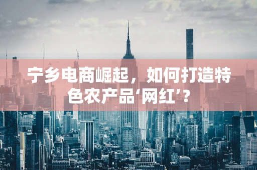 宁乡电商崛起，如何打造特色农产品‘网红’？