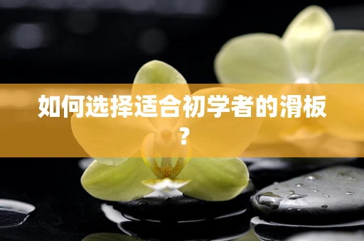 如何选择适合初学者的滑板？