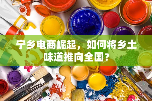 宁乡电商崛起，如何将乡土味道推向全国？