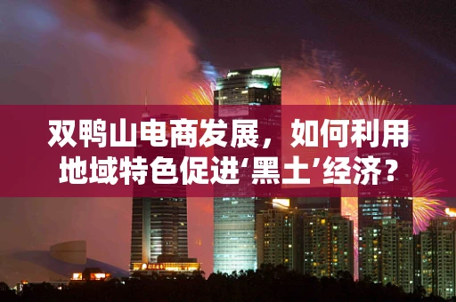 双鸭山电商发展，如何利用地域特色促进‘黑土’经济？