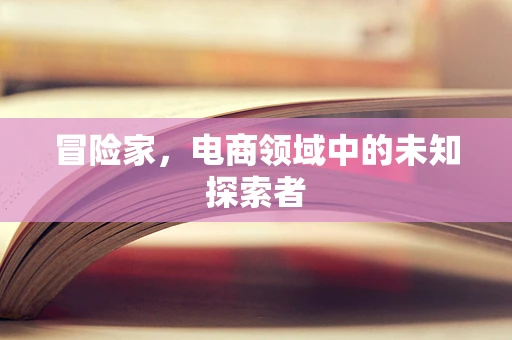 冒险家，电商领域中的未知探索者
