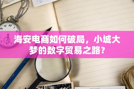 海安电商如何破局，小城大梦的数字贸易之路？