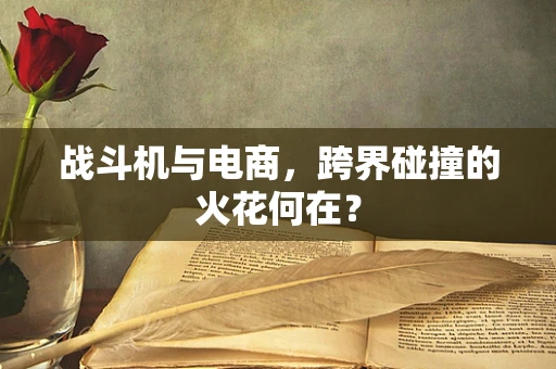 战斗机与电商，跨界碰撞的火花何在？