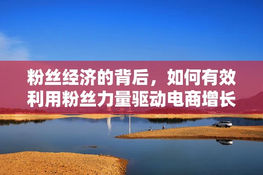 粉丝经济的背后，如何有效利用粉丝力量驱动电商增长？