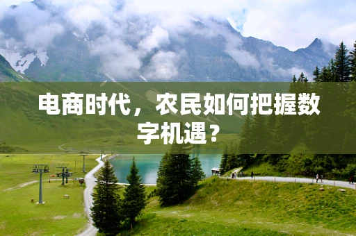 电商时代，农民如何把握数字机遇？