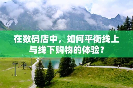 在数码店中，如何平衡线上与线下购物的体验？