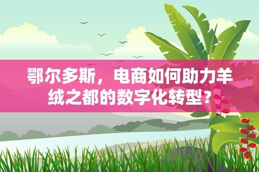 鄂尔多斯，电商如何助力羊绒之都的数字化转型？
