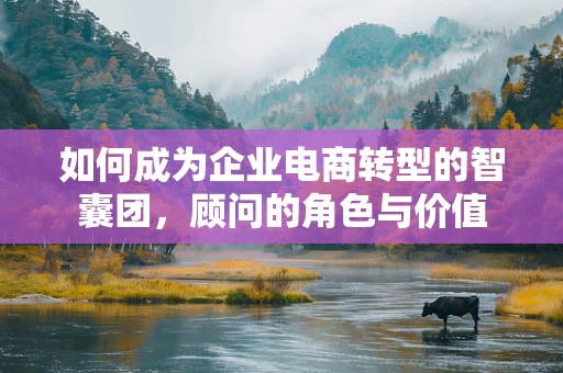 如何成为企业电商转型的智囊团，顾问的角色与价值