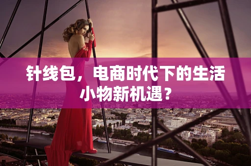 针线包，电商时代下的生活小物新机遇？